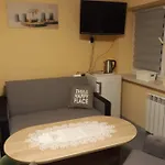 Stokrotka *