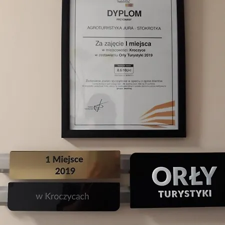 Stokrotka קרושיצה