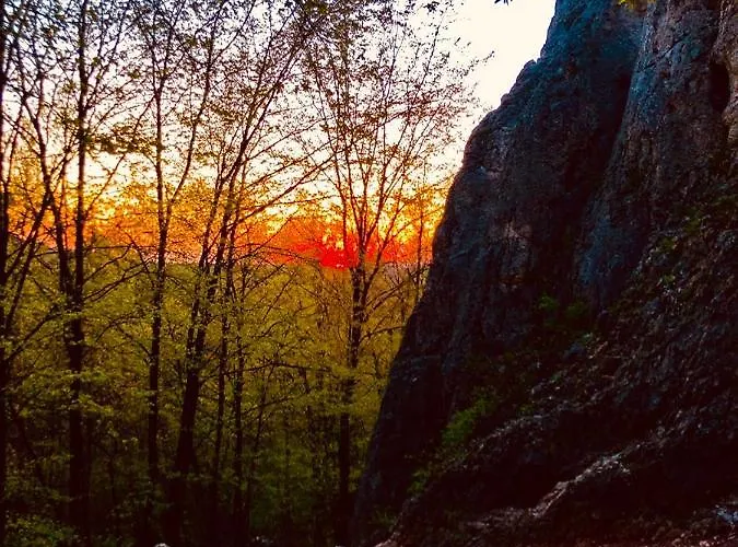 Stokrotka * קרושיצה