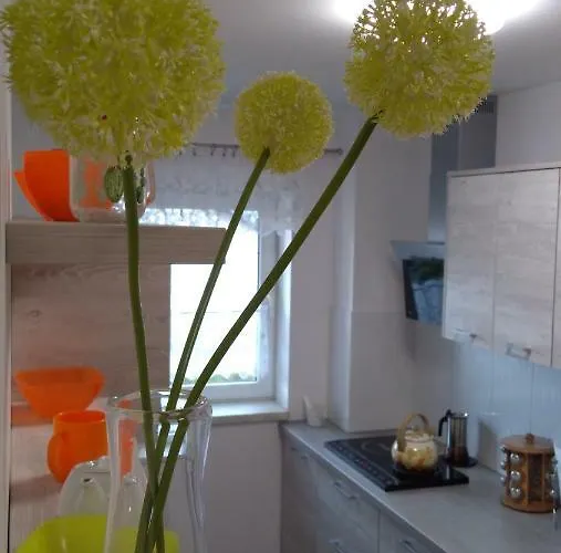 Stokrotka בית חווה קרושיצה